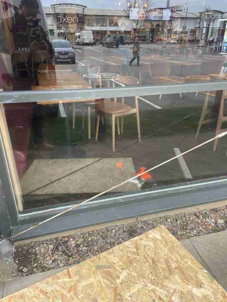 Window Repairs
